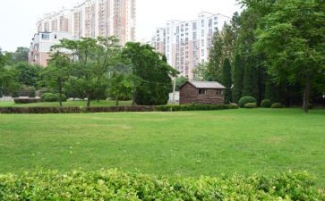 校内的工作总结5篇