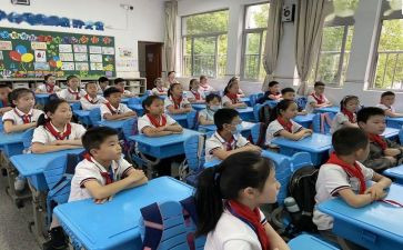 小学语文总结报告8篇