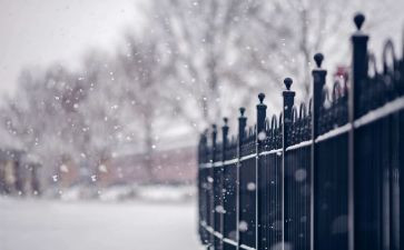 《下雪》的作文精选8篇