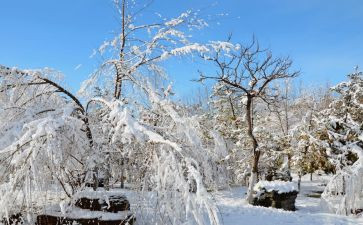下雪的安全教案通用6篇