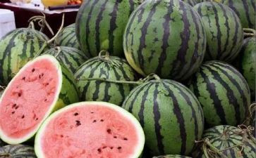 摘西瓜优秀作文参考5篇