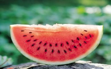 画西瓜幼儿教案5篇