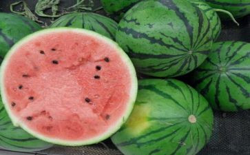 中班游戏切西瓜教案8篇