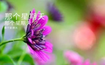 快乐星期天作文通用5篇