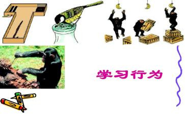 规范日常行为心得体会6篇