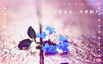 纯洁心灵作文6篇