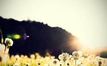 心灵成长作文模板5篇