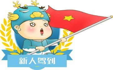 公司新人培训总结7篇