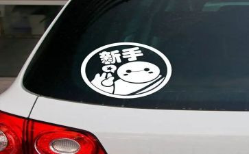 新手教师工作总结8篇