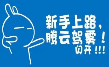 新手会计工作总结6篇