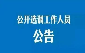 选调培训心得5篇