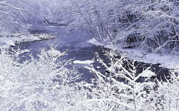 高速公路除雪工作总结优秀7篇