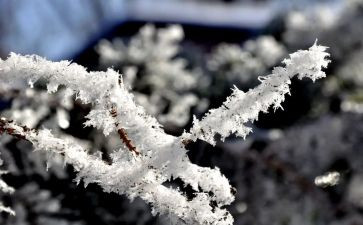 校园除雪工作总结推荐8篇