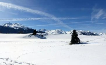 雪鲁迅先生读后感7篇