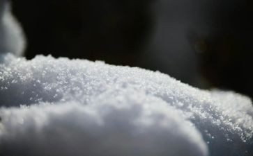小雪节气活动方案5篇