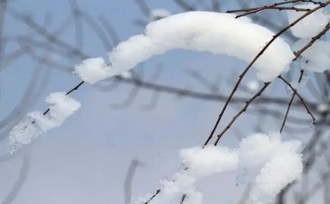 除雪设备申请书7篇