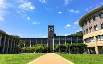 大学部门个人工作总结6篇