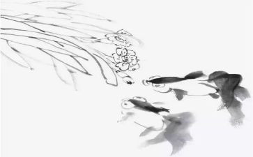 虾的国画教案7篇