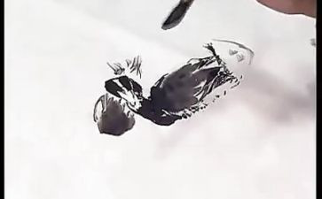 国画树教案5篇
