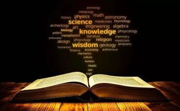 初中数学学科教学计划8篇