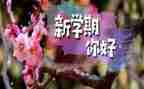 三年级数学下学期教学工作总结6篇