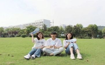 学生会个人年度工作总结6篇
