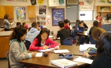 学习或工作总结模板6篇