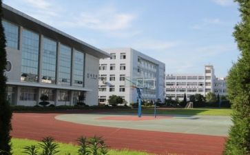 学校特殊工作计划5篇