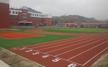 在学校半年总结参考5篇