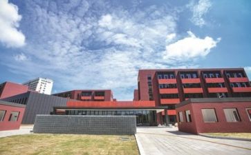 学校个人活动总结范文6篇