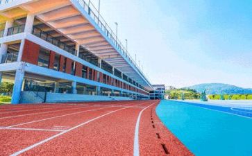 教师在学校的总结报告优秀5篇