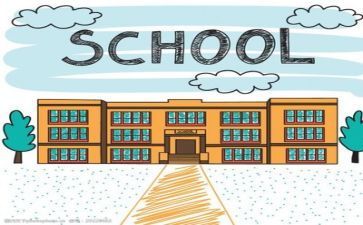关于对学校的调查报告6篇