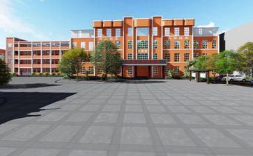 学校周活动总结5篇