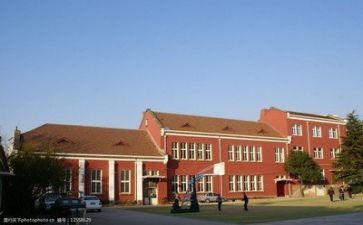 学校的工作总结报告优秀5篇