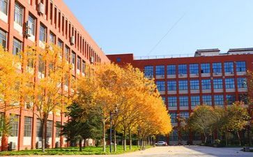 学校财务工作年度总结5篇