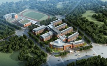 2023学校财务工作总结6篇