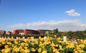 学校雷锋月总结5篇