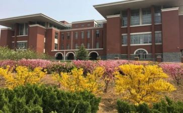 对学校的工作总结和计划参考5篇