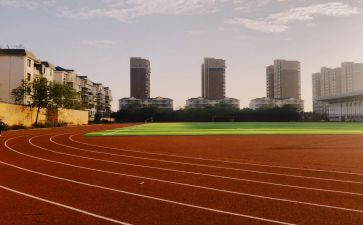 学校体育处工作计划模板8篇