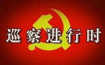 巡察组巡察工作总结5篇