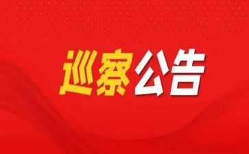 巡察组个人总结8篇