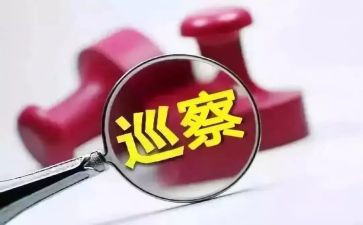 党组书记落实巡察整改报告6篇