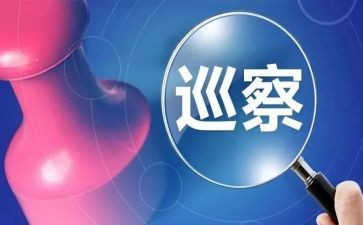 日巡查工作总结7篇