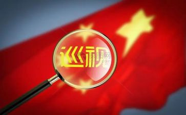党巡视工作条例心得体会6篇