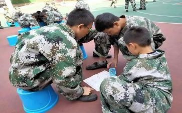 职业培训学校自查报告精选6篇