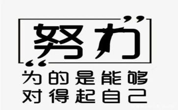 续聘任申请书优质8篇