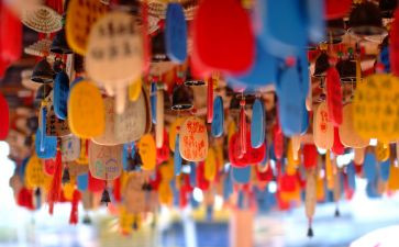 《许愿树》读后感5篇