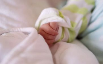 数字宝宝5和6教案优秀5篇