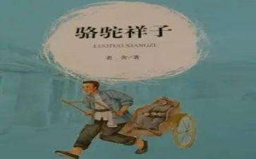 幸福的样子读后感6篇
