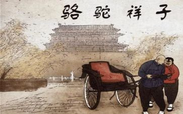 样子的读后感最新5篇